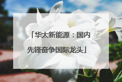 华太新能源：国内先锋奋争国际龙头