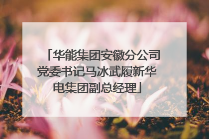 华能集团安徽分公司党委书记马冰武履新华电集团副总经理