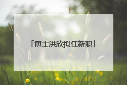 博士洪欣拟任新职