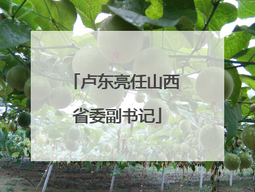 卢东亮任山西省委副书记