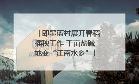 即墨蓝村展开春稻插秧工作 千亩盐碱地变“江南水乡”