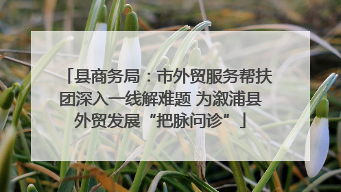 县商务局：市外贸服务帮扶团深入一线解难题 为溆浦县外贸发展“把脉问诊”