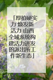 厚植硬实力 焕发新活力 山西全域系统构建活力迸发的派出所工作新生态