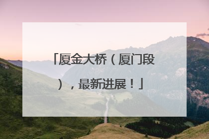 厦金大桥（厦门段），最新进展！
