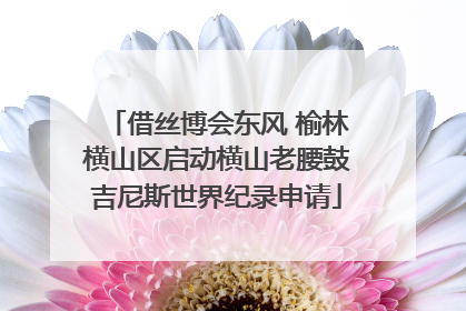 借丝博会东风 榆林横山区启动横山老腰鼓吉尼斯世界纪录申请