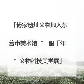 傅家遗址文物加入东营市美术馆“一眼千年”文物科技美学展