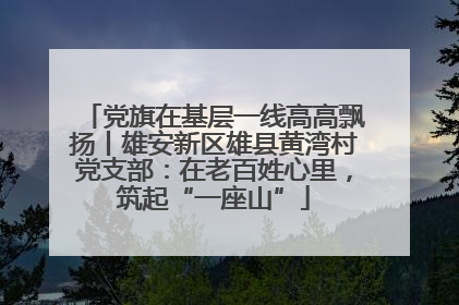 党旗在基层一线高高飘扬丨雄安新区雄县黄湾村党支部：在老百姓心里，筑起“一座山”