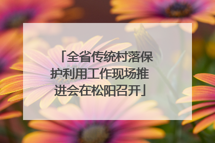 全省传统村落保护利用工作现场推进会在松阳召开
