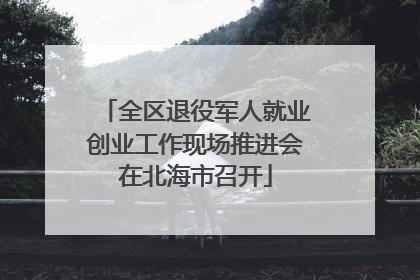 全区退役军人就业创业工作现场推进会在北海市召开