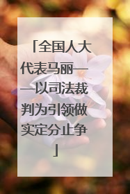 全国人大代表马丽——以司法裁判为引领做实定分止争