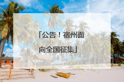 公告！宿州面向全国征集