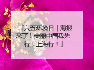 六五环境日｜海报来了！美丽中国我先行，上海行！