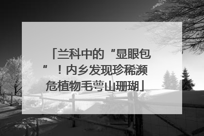 兰科中的“显眼包”！内乡发现珍稀濒危植物毛萼山珊瑚
