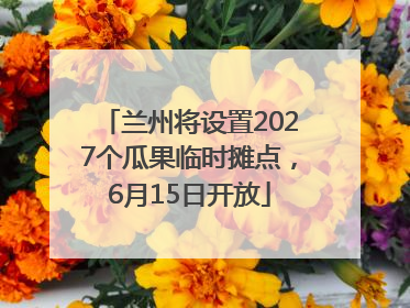 兰州将设置2027个瓜果临时摊点，6月15日开放