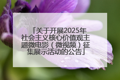 关于开展2025年社会主义核心价值观主题微电影（微视频）征集展示活动的公告