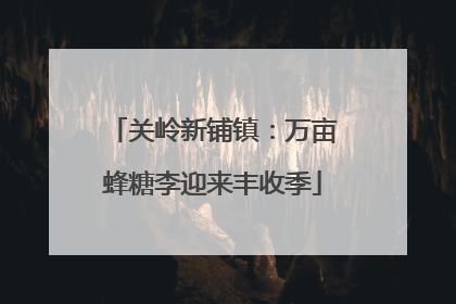 关岭新铺镇：万亩蜂糖李迎来丰收季