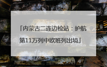内蒙古二连边检站：护航第11万列中欧班列出境