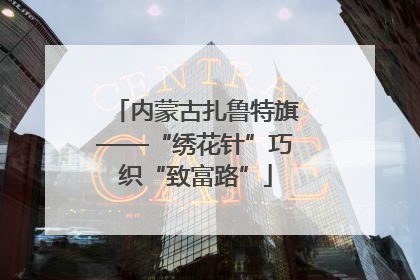 内蒙古扎鲁特旗——“绣花针”巧织“致富路”