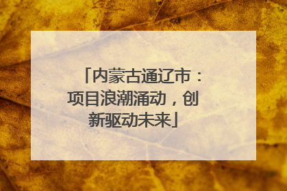 内蒙古通辽市：项目浪潮涌动，创新驱动未来