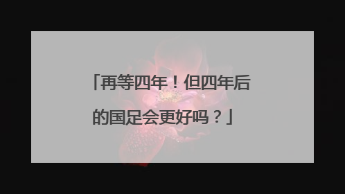 再等四年！但四年后的国足会更好吗？