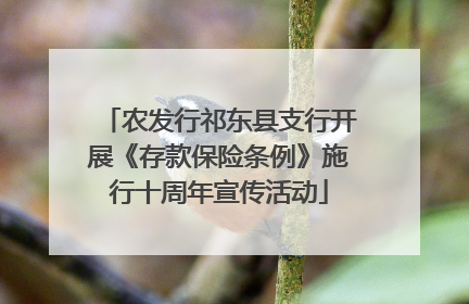 农发行祁东县支行开展《存款保险条例》施行十周年宣传活动