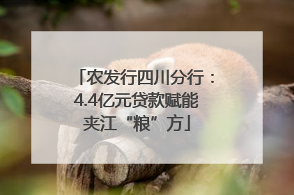农发行四川分行：4.4亿元贷款赋能夹江“粮”方