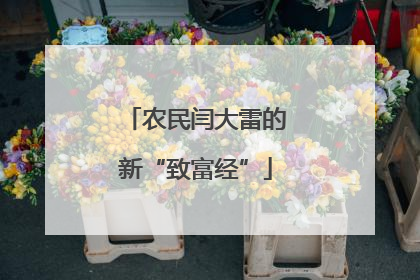 农民闫大雷的新“致富经”
