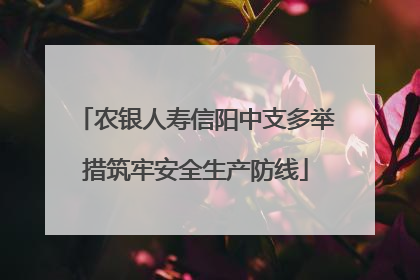 农银人寿信阳中支多举措筑牢安全生产防线