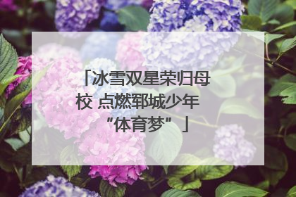 冰雪双星荣归母校 点燃郓城少年“体育梦”