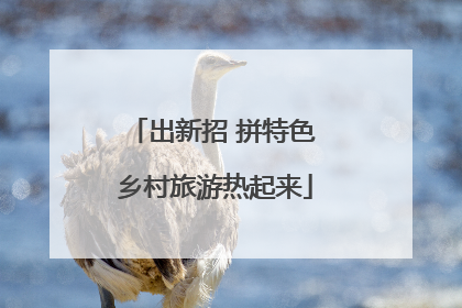 出新招 拼特色 乡村旅游热起来