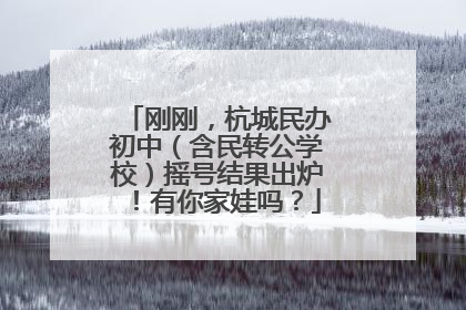 刚刚，杭城民办初中（含民转公学校）摇号结果出炉！有你家娃吗？