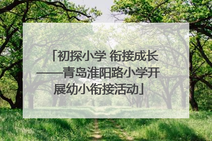 初探小学 衔接成长——青岛淮阳路小学开展幼小衔接活动