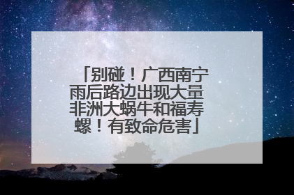 别碰！广西南宁雨后路边出现大量非洲大蜗牛和福寿螺！有致命危害