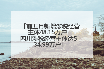 前五月新增涉税经营主体48.15万户 四川涉税经营主体达534.99万户