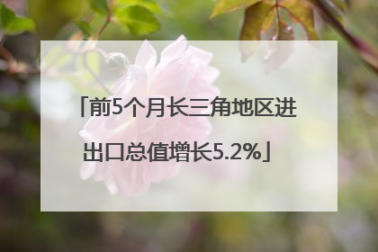 前5个月长三角地区进出口总值增长5.2%