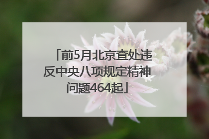前5月北京查处违反中央八项规定精神问题464起