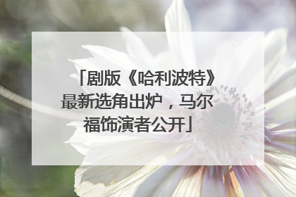 剧版《哈利波特》最新选角出炉，马尔福饰演者公开