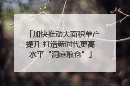 加快推动大面积单产提升 打造新时代更高水平“洞庭粮仓”