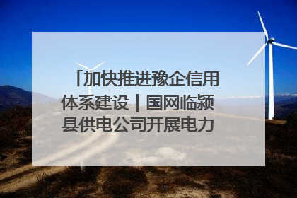 加快推进豫企信用体系建设｜国网临颍县供电公司开展电力行业信用企业现场咨询访谈工作