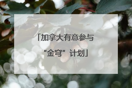 加拿大有意参与“金穹”计划