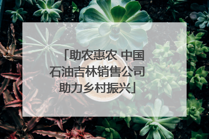 助农惠农 中国石油吉林销售公司助力乡村振兴
