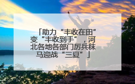 助力“丰收在田”变“丰收到手”，河北各地各部门厉兵秣马迎战“三夏”