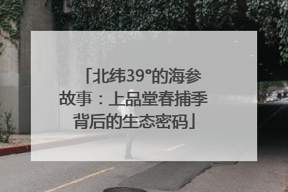 北纬39°的海参故事：上品堂春捕季背后的生态密码