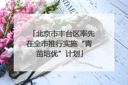 北京市丰台区率先在全市推行实施“青苗培优”计划