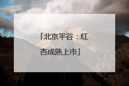 北京平谷：红杏成熟上市