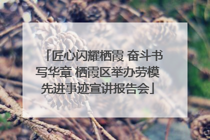 匠心闪耀栖霞 奋斗书写华章 栖霞区举办劳模先进事迹宣讲报告会