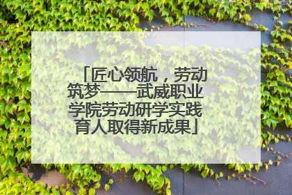 匠心领航，劳动筑梦——武威职业学院劳动研学实践育人取得新成果