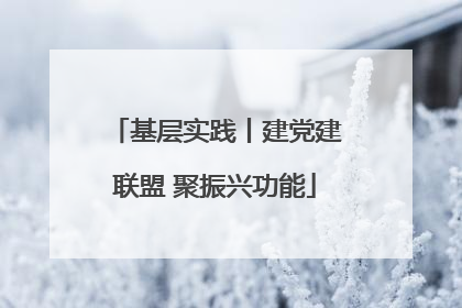 基层实践丨建党建联盟 聚振兴功能