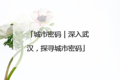 城市密码｜深入武汉，探寻城市密码
