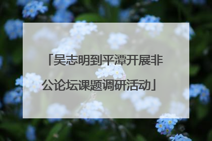 吴志明到平潭开展非公论坛课题调研活动